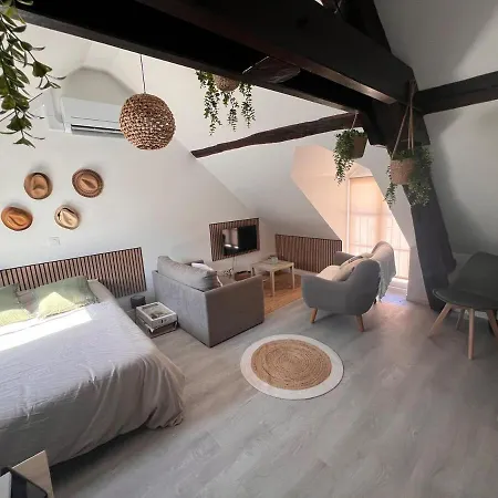 Cosy Et Confortable Centre De Nemours, Gare A Pied Lejlighed