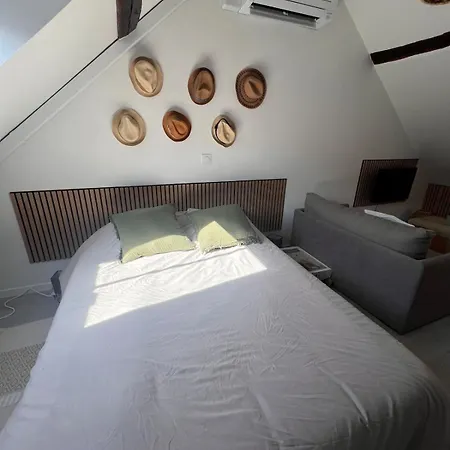Cosy Et Confortable Centre De Nemours, Gare A Pied Lejlighed Nemours