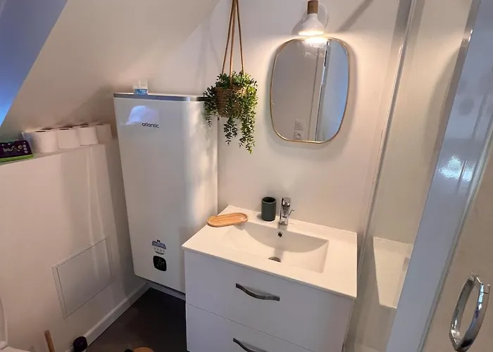 Cosy Et Confortable Centre De Nemours, Gare A Pied