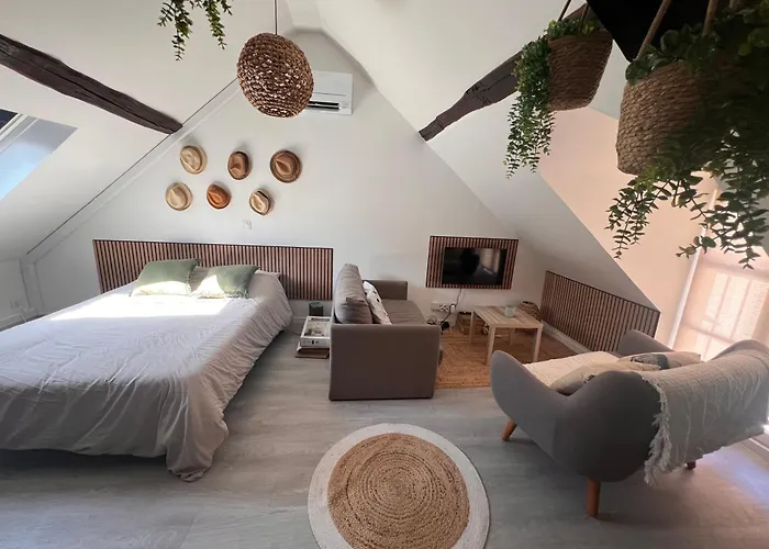 Cosy Et Confortable Centre De Nemours, Gare A Pied