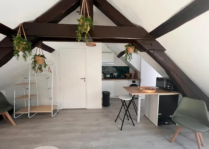 Apartmán Cosy Et Confortable Centre De Nemours, Gare A Pied Nemours